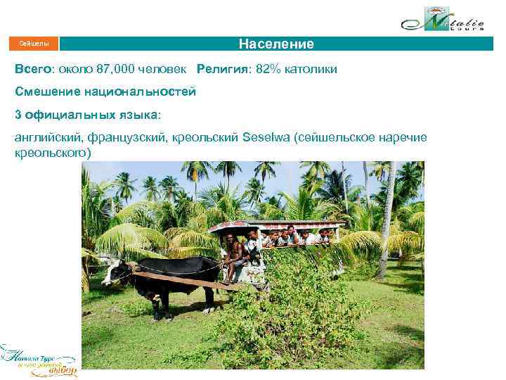 Сейшелы Население Всего: около 87, 000 человек Религия: 82% католики Смешение национальностей 3 официальных