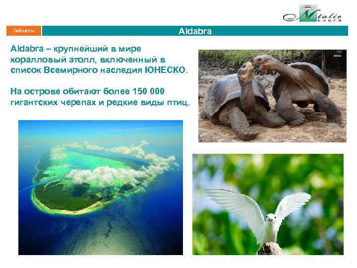 Сейшелы Aldabra – крупнейший в мире коралловый атолл, включенный в список Всемирного наследия ЮНЕСКО.