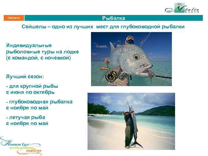 Рыбалка Сейшелы – одно из лучших мест для глубоководной рыбалки Индивидуальные рыболовные туры на