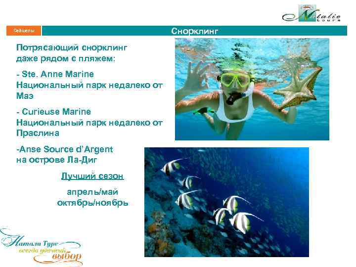 Снорклинг Сейшелы Потрясающий снорклинг даже рядом с пляжем: - Ste. Anne Marine Национальный парк