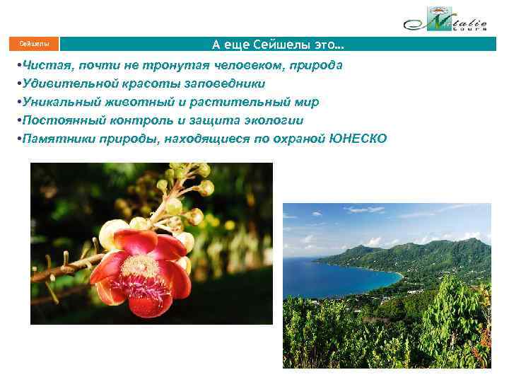 Сейшелы А еще Сейшелы это… • Чистая, почти не тронутая человеком, природа • Удивительной