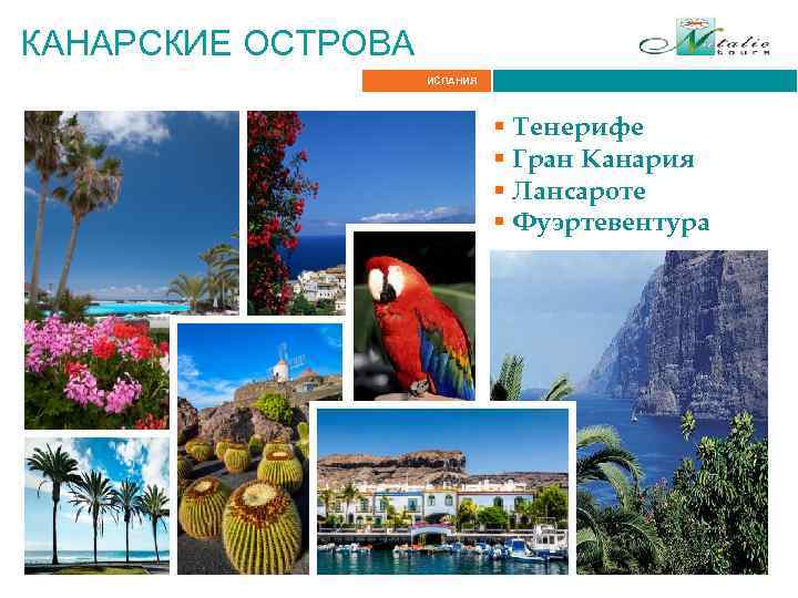 КАНАРСКИЕ ОСТРОВА Итальянские Альпы ИСПАНИЯ § Тенерифе § Гран Канария § Лансароте § Фуэртевентура