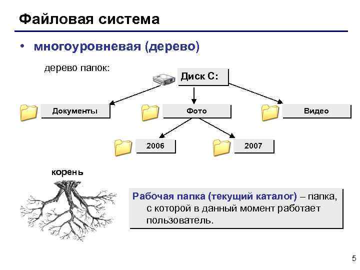 Файловая система • многоуровневая (дерево) дерево папок: Диск C: Фото Документы 2006 Видео 2007