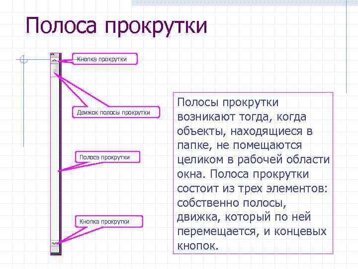 Полоса прокрутки Кнопка прокрутки Движок полосы прокрутки Полоса прокрутки Кнопка прокрутки Полосы прокрутки возникают