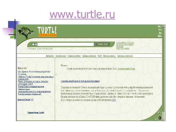 www. turtle. ru 