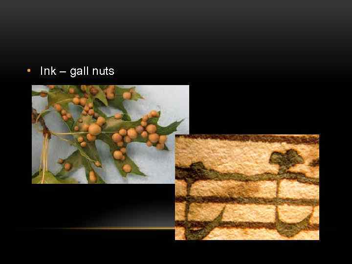  • Ink – gall nuts 