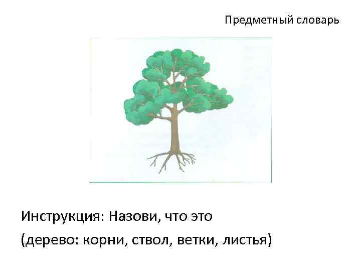 Предметный словарь Инструкция: Назови, что это (дерево: корни, ствол, ветки, листья) 