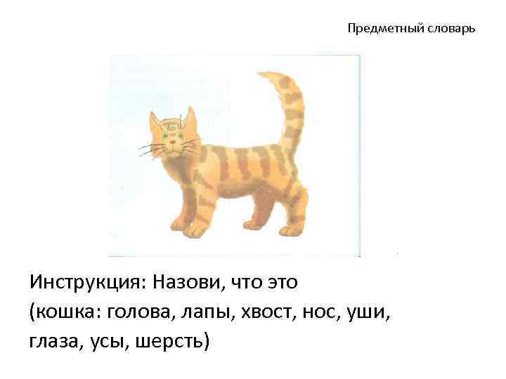 Предметный словарь Инструкция: Назови, что это (кошка: голова, лапы, хвост, нос, уши, глаза, усы,