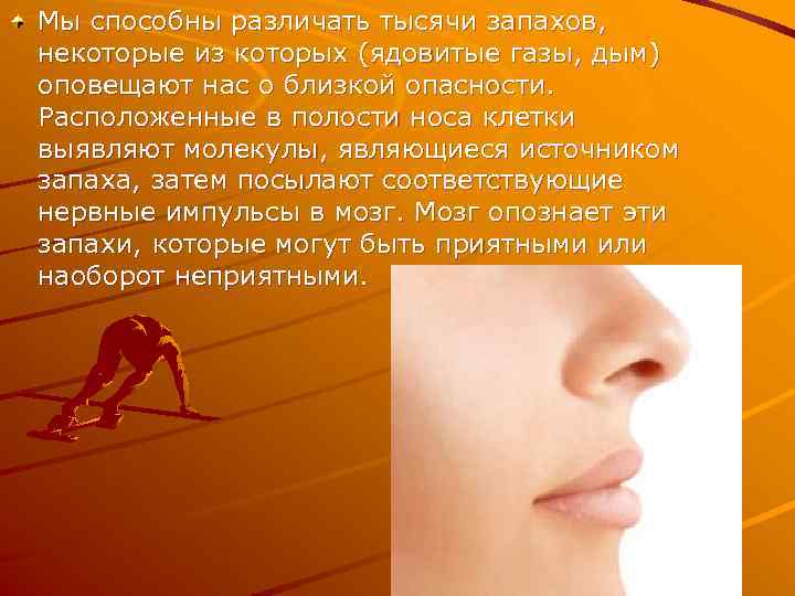 Мы способны различать тысячи запахов, некоторые из которых (ядовитые газы, дым) оповещают нас о