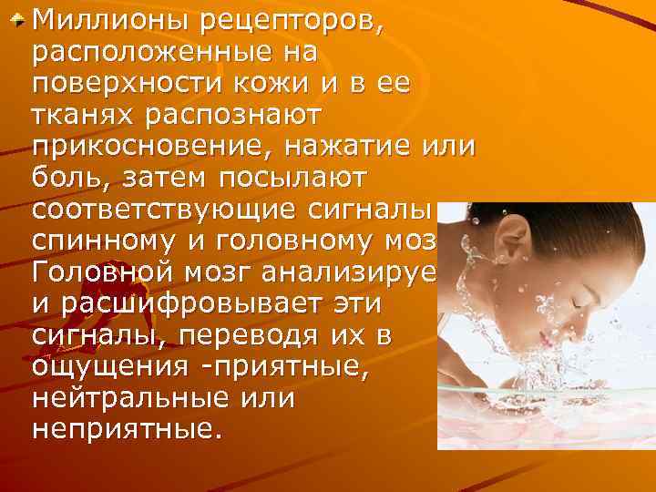 Миллионы рецепторов, расположенные на поверхности кожи и в ее тканях распознают прикосновение, нажатие или