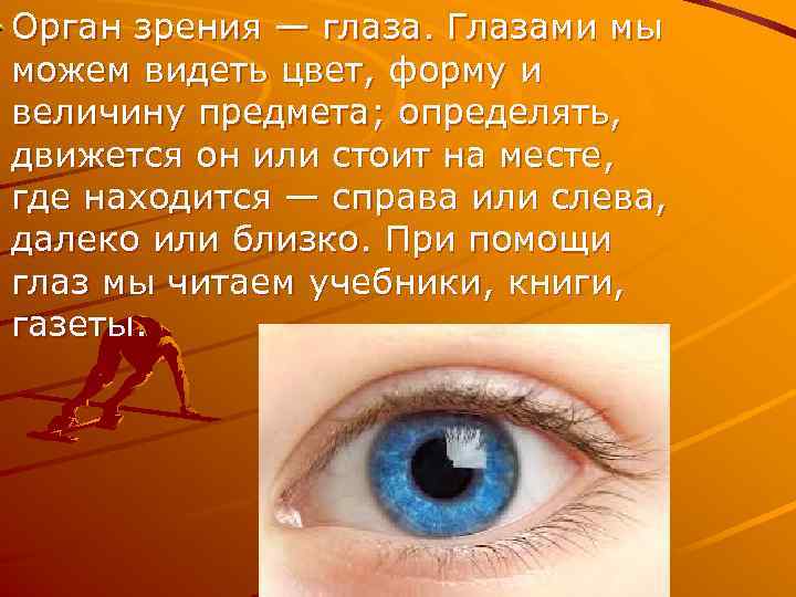 Орган чувств глаза 3 класс окружающий мир. Органы чувств глаза. Зрение орган чувств глаз. Интересные факты об органе чувств глаза. Сообщение о органе чувств глаза.