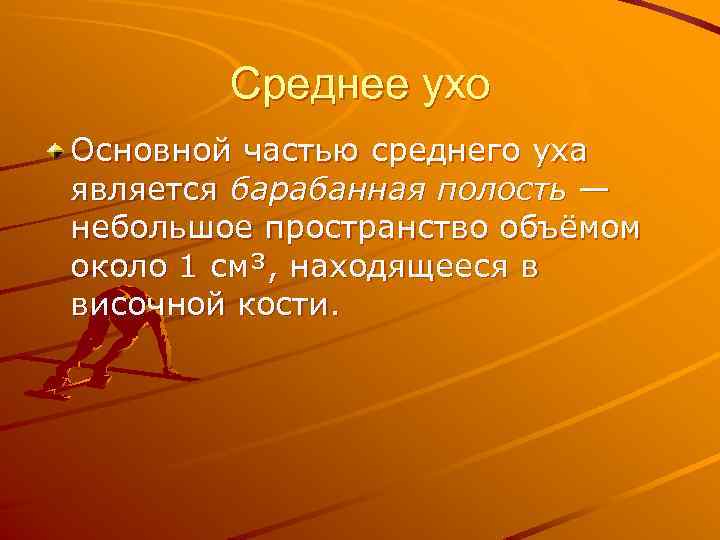 Среднее ухо Основной частью среднего уха является барабанная полость — небольшое пространство объёмом около