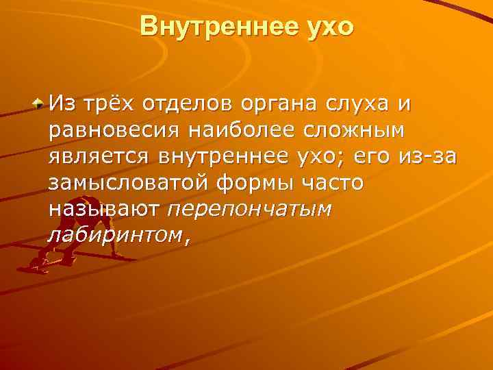 Внутреннее ухо Из трёх отделов органа слуха и равновесия наиболее сложным является внутреннее ухо;