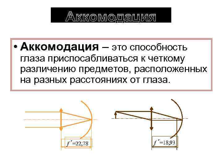 Аккомодация • Аккомодация – это способность глаза приспосабливаться к четкому различению предметов, расположенных на