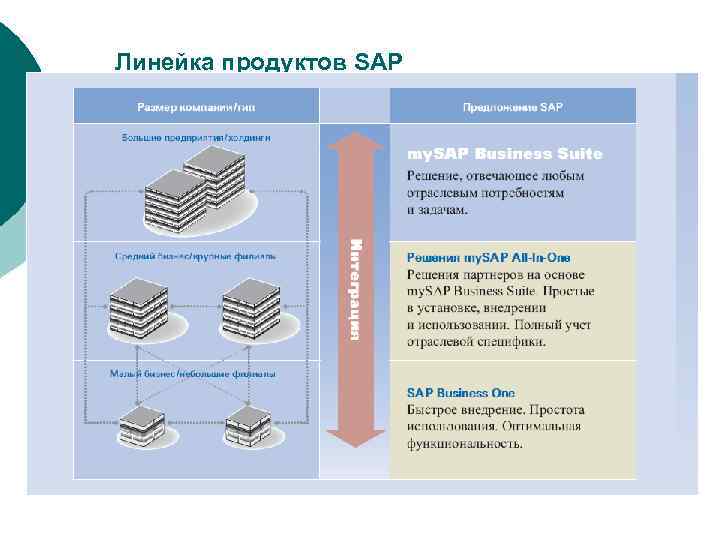 Линейка продуктов SAP 