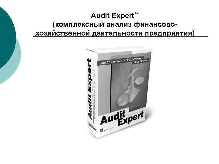 Audit Expert™ (комплексный анализ финансовохозяйственной деятельности предприятия) 
