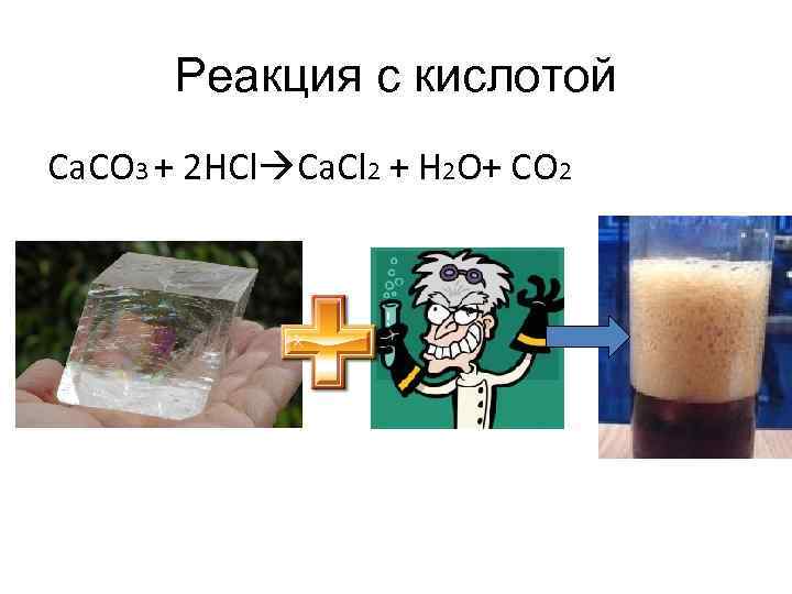 Реакция с кислотой Ca. CO 3 + 2 HCl Ca. Cl 2 + H