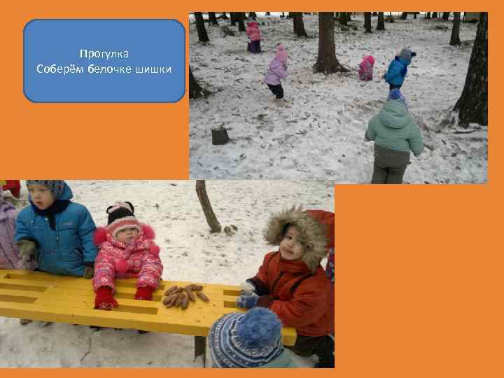 Прогулка Соберём белочке шишки 
