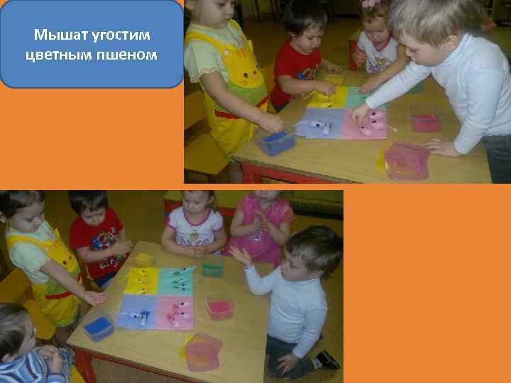 Мышат угостим цветным пшеном 