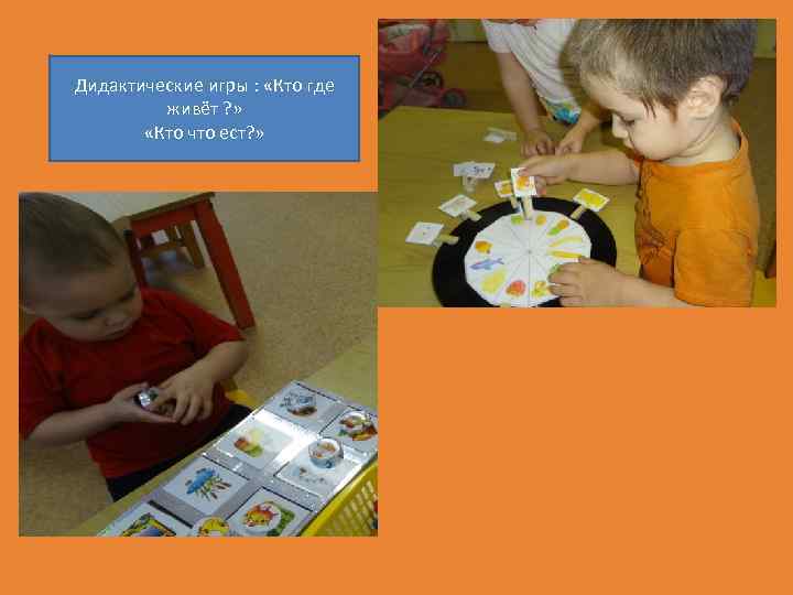 Дидактические игры : «Кто где живёт ? » «Кто что ест? » 