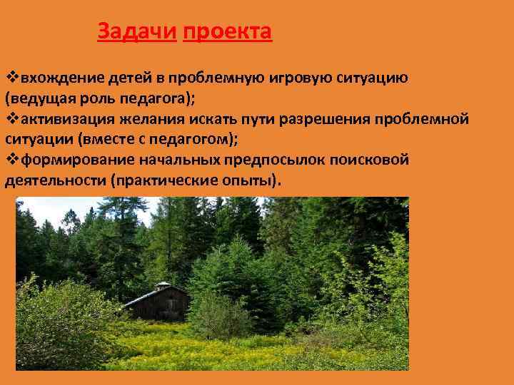 Задачи проекта vвхождение детей в проблемную игровую ситуацию (ведущая роль педагога); vактивизация желания искать