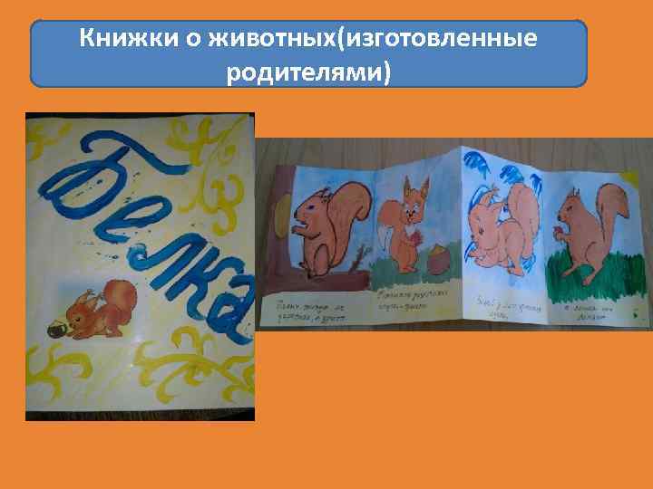 Книжки о животных(изготовленные родителями) 