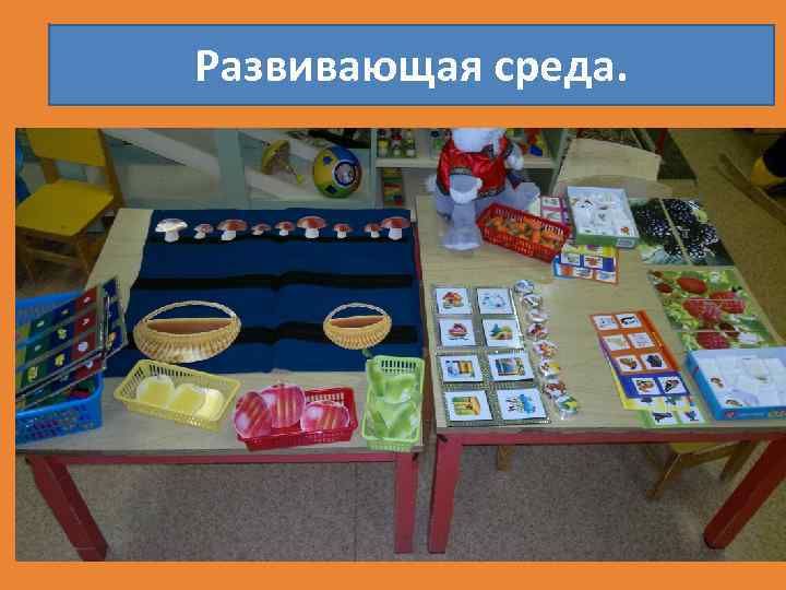 Развивающая среда. 
