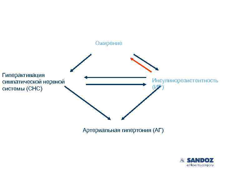 Ожирение Гиперактивация симпатической нервной системы (СНС) Инсулинорезистентность (ИР) Артериальная гипертония (АГ) 