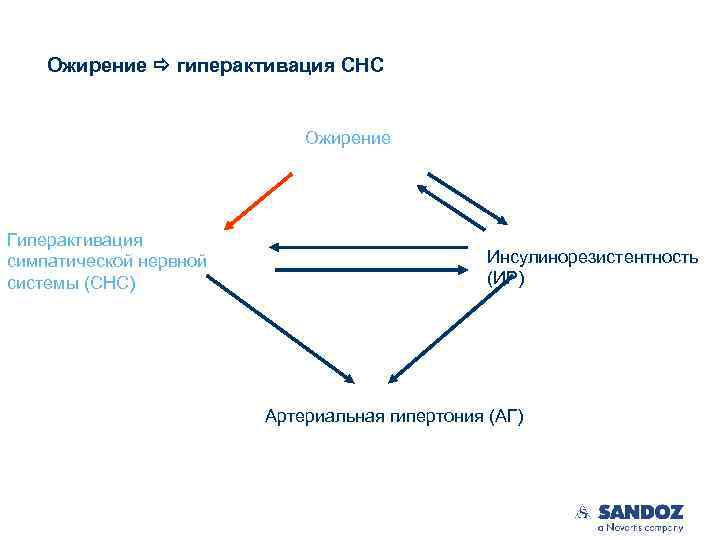 Ожирение гиперактивация СНС Ожирение Гиперактивация симпатической нервной системы (СНС) Инсулинорезистентность (ИР) Артериальная гипертония (АГ)