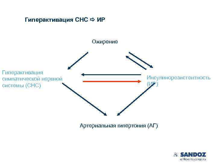 Гиперактивация СНС ИР Ожирение Гиперактивация симпатической нервной системы (СНС) Инсулинорезистентность (ИР) Артериальная гипертония (АГ)