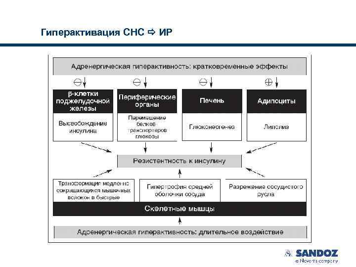 Гиперактивация СНС ИР 