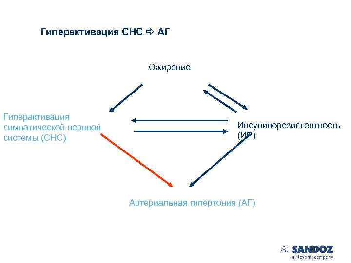 Гиперактивация СНС АГ Ожирение Гиперактивация симпатической нервной системы (СНС) Инсулинорезистентность (ИР) Артериальная гипертония (АГ)