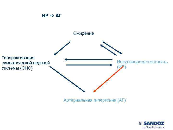 ИР АГ Ожирение Гиперактивация симпатической нервной системы (СНС) Инсулинорезистентность (ИР) Артериальная гипертония (АГ) 