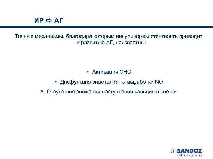 ИР АГ Точные механизмы, благодаря которым инсулинорезистентность приводит к развитию АГ, неизвестны: § Активация