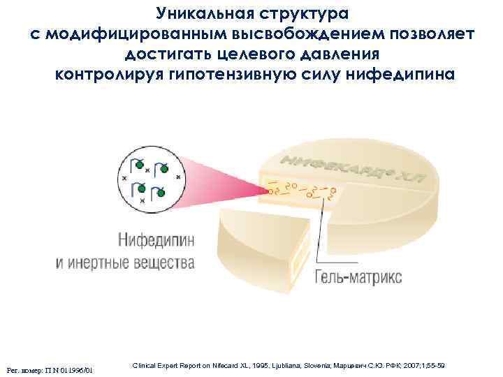 Уникальная структура с модифицированным высвобождением позволяет достигать целевого давления контролируя гипотензивную силу нифедипина Рег.