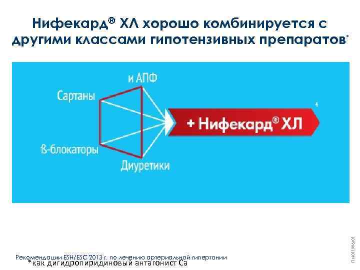 Рекомендации ESH/ESC 2013 г. по лечению артериальной гипертонии *как дигидропиридиновый антагонист Са П N