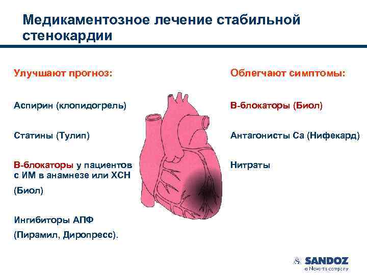 Препараты при стенокардии список. Стабильная стенокардия симптомы. Медикаментозное лечение стабильной стенокардии. Медикаментозная терапия при стенокардии.