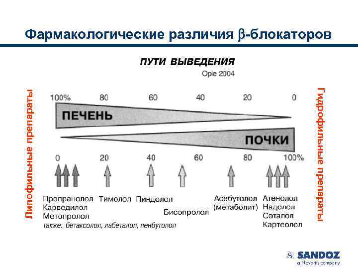 Гидрофильные препараты Липофильные препараты Фармакологические различия -блокаторов 