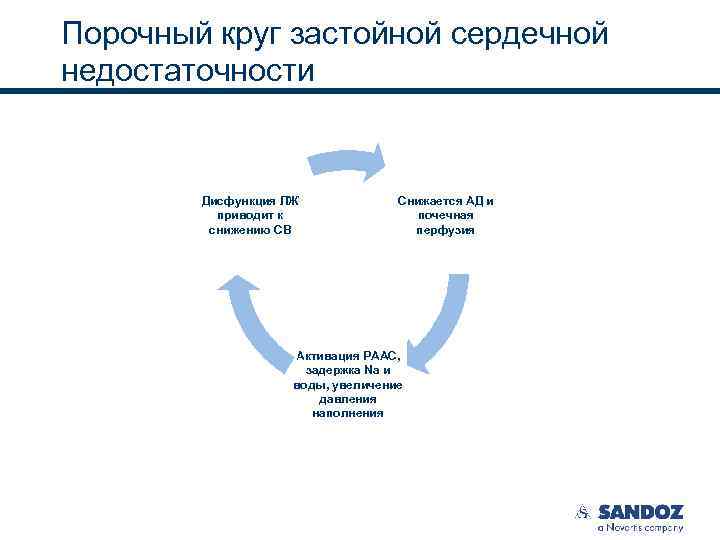 Порочный круг застойной сердечной недостаточности Дисфункция ЛЖ приводит к снижению СВ Снижается АД и