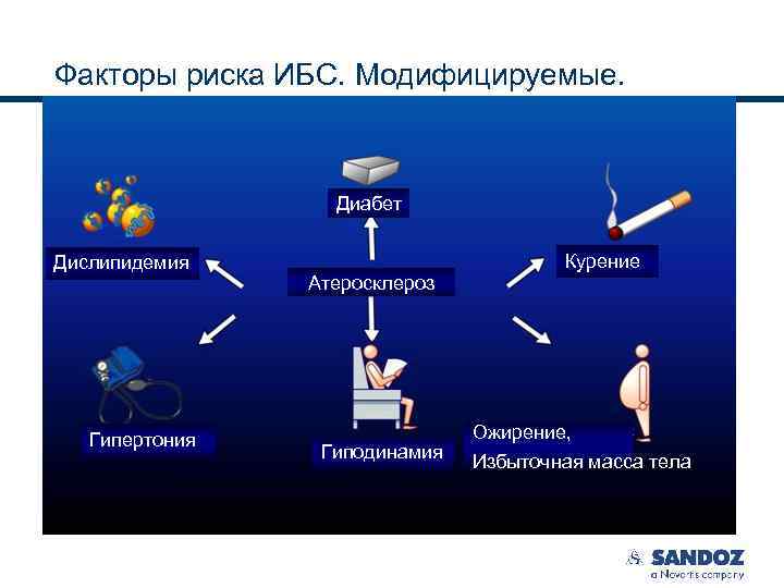 Факторы риска ИБС. Модифицируемые. Диабет Дислипидемия Гипертония Курение Атеросклероз Гиподинамия Ожирение, Избыточная масса тела