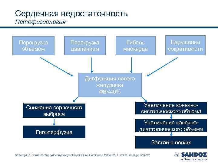 Сердечная недостаточность Патофизиология Перегрузка объемом Перегрузка давлением Гибель миокарда Нарушение сократимости Дисфункция левого желудочка