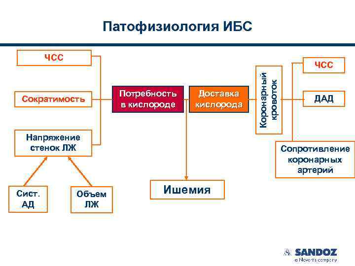 Патофизиология ИБС Сократимость Потребность в кислороде Доставка кислорода Напряжение стенок ЛЖ Сист. АД Объем