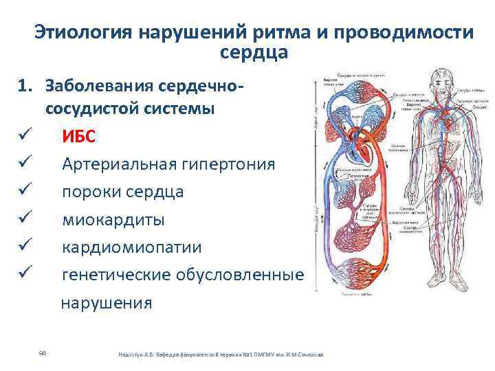 Этиология нарушений ритма и проводимости сердца 1. Заболевания сердечнососудистой системы ü ИБС ü Артериальная