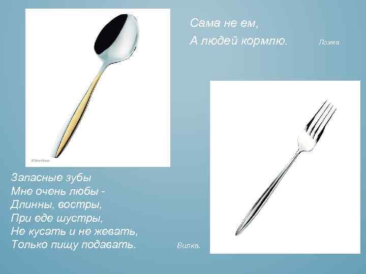 Сама не ем, А людей кормлю. Ложка Запасные зубы Мне очень любы Длинны, востры,