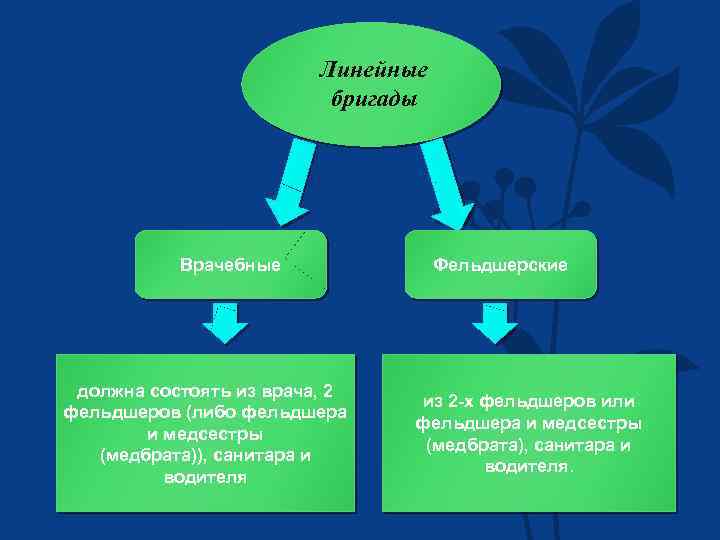 Линейные бригады Врачебные должна состоять из врача, 2 фельдшеров (либо фельдшера и медсестры (медбрата)),