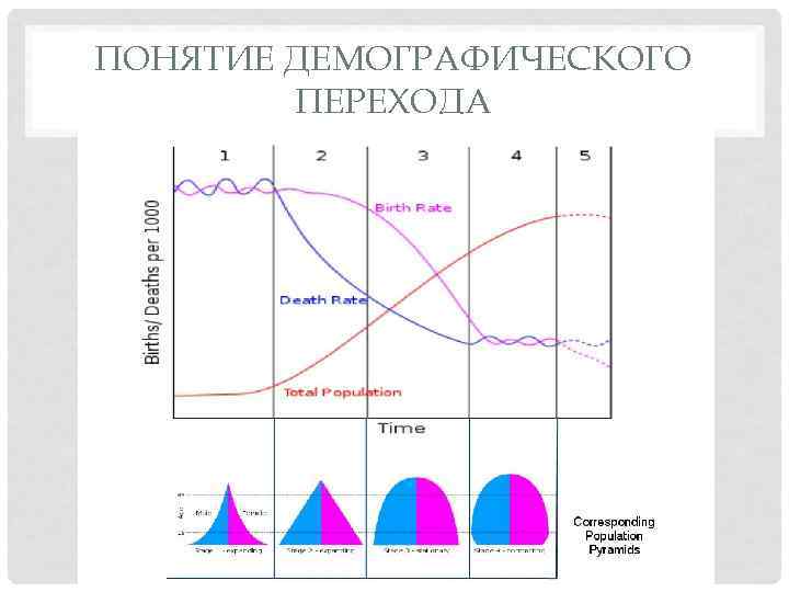 ПОНЯТИЕ ДЕМОГРАФИЧЕСКОГО ПЕРЕХОДА 