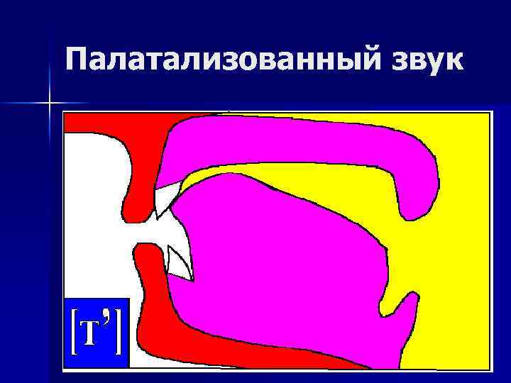 Палатализованный звук 