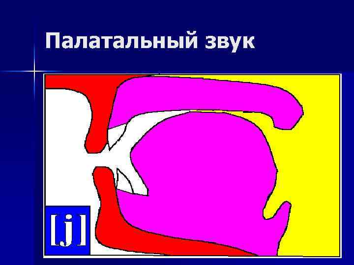 Палатальный звук 
