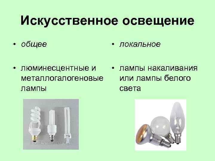 Искусственное освещение • общее • локальное • люминесцентные и • лампы накаливания металлогалогеновые или