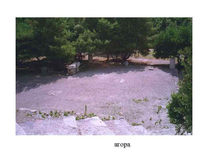 агора 